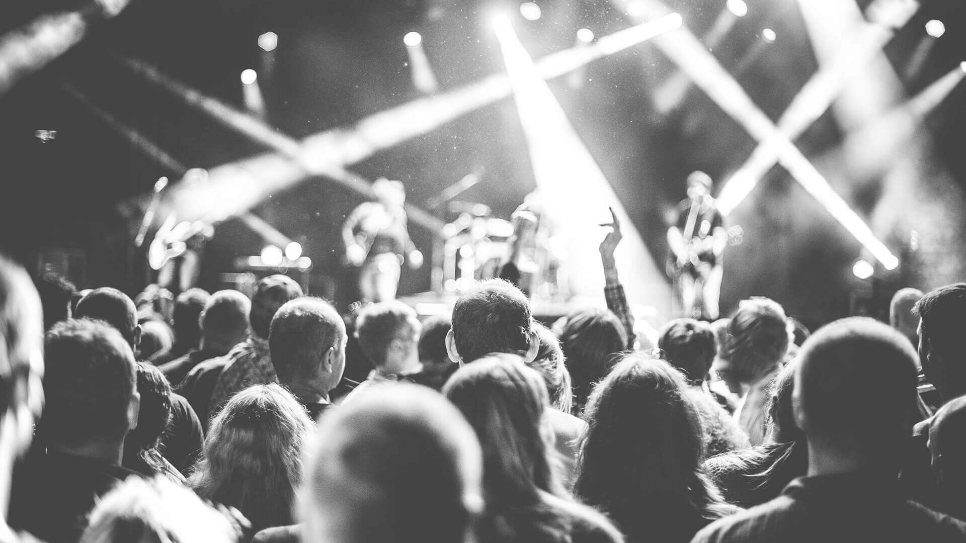 Aliquam venenatis ligula quis ultrices aliquam